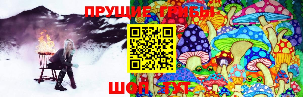 Галлюциногенные грибы MAGIC MUSHROOMS Строитель